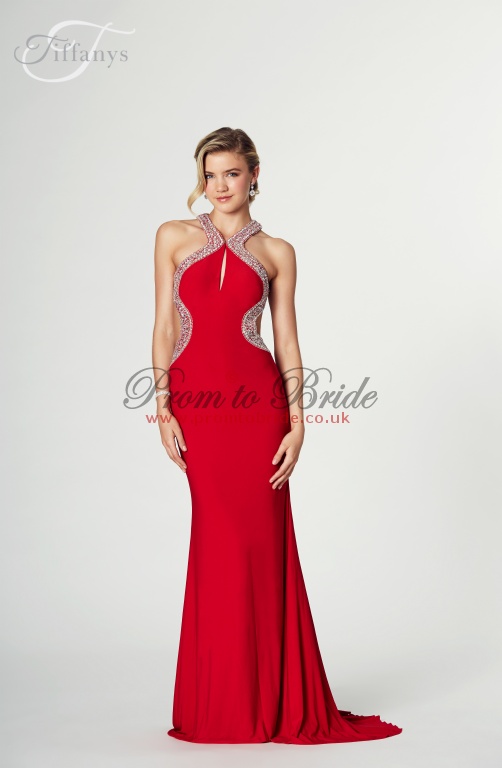 Tiffany nancy hot sale prom dress